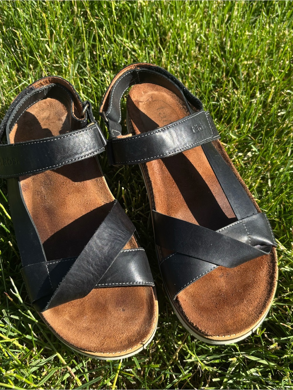 Taos Footwear - Sideways Sandals - Black- 41 EU